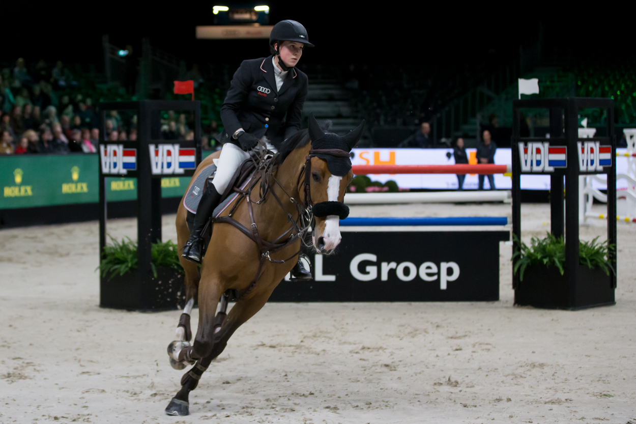 Paardensport