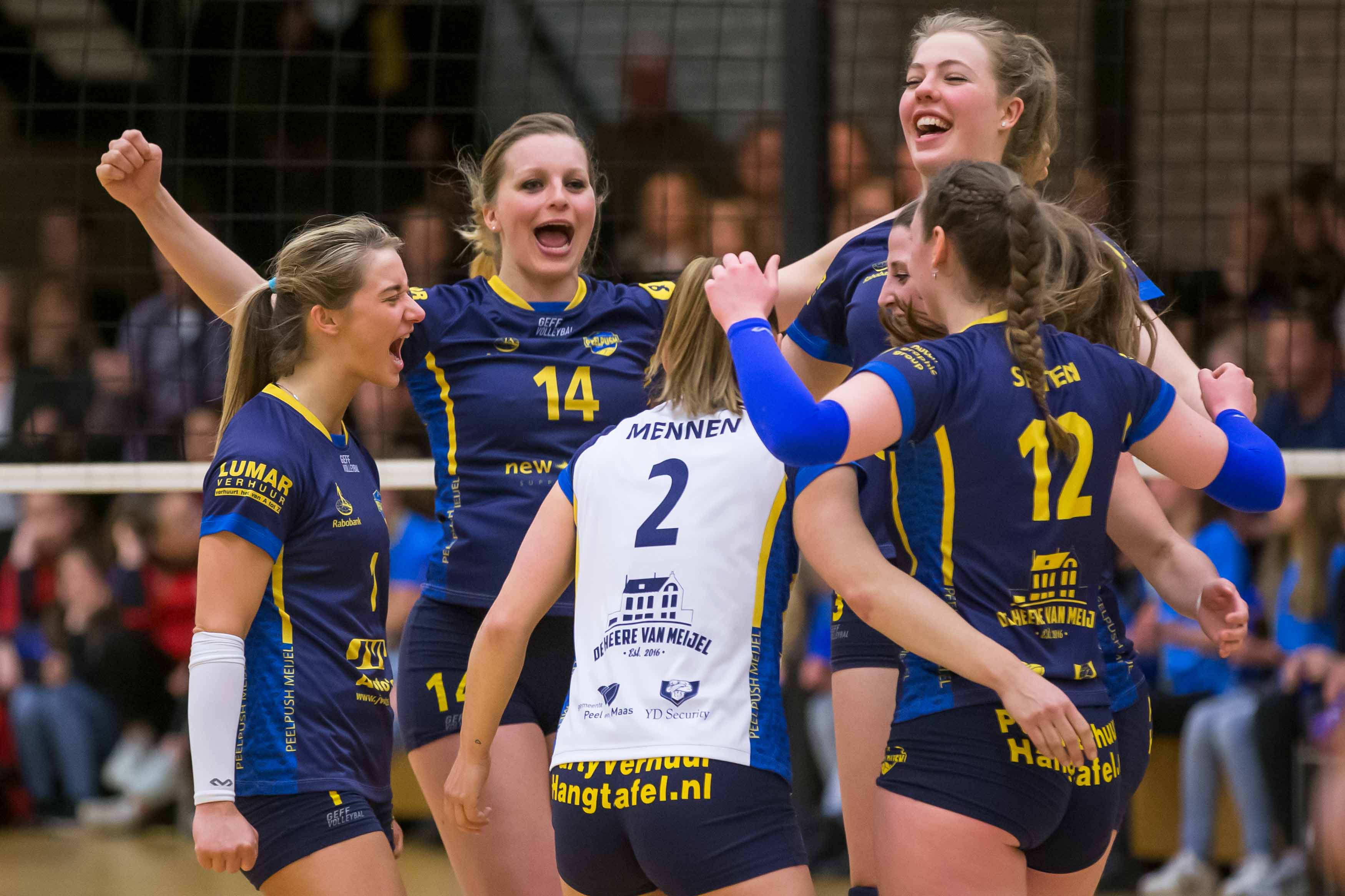 Volleybal